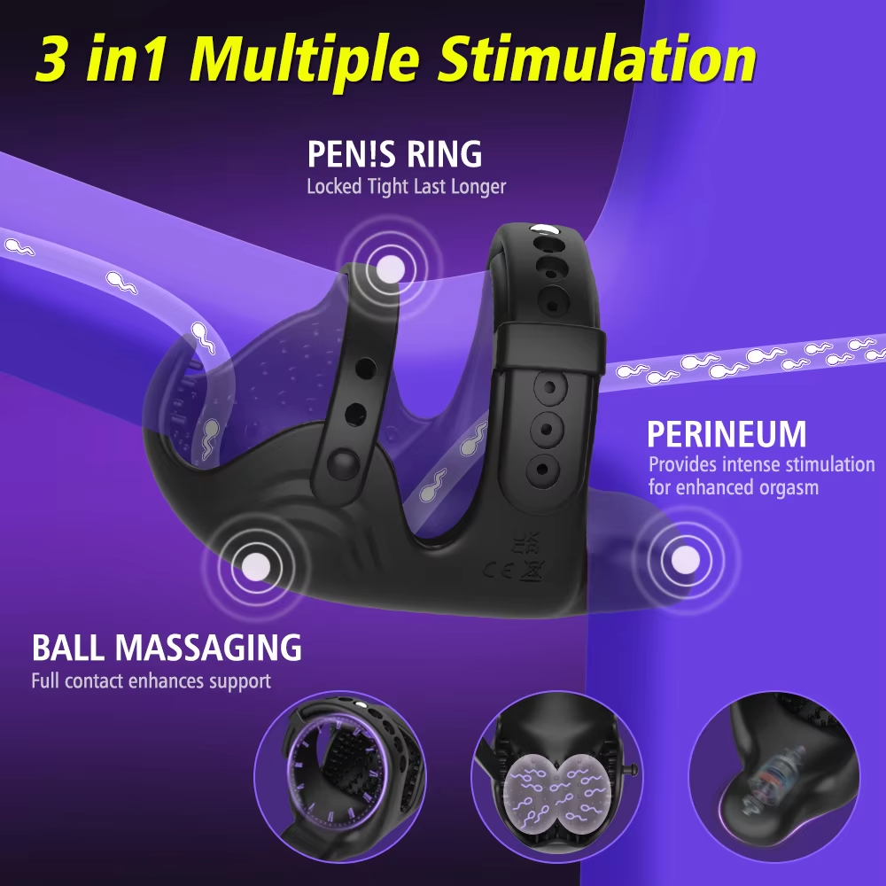 3 IN 1 Cockring Penisvibrator Hodenstimulator Keuschheitskäfig Set mit 9 Vibrationsmodi